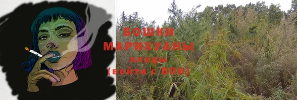 индика Армянск